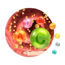 vstřebávání vitamínu